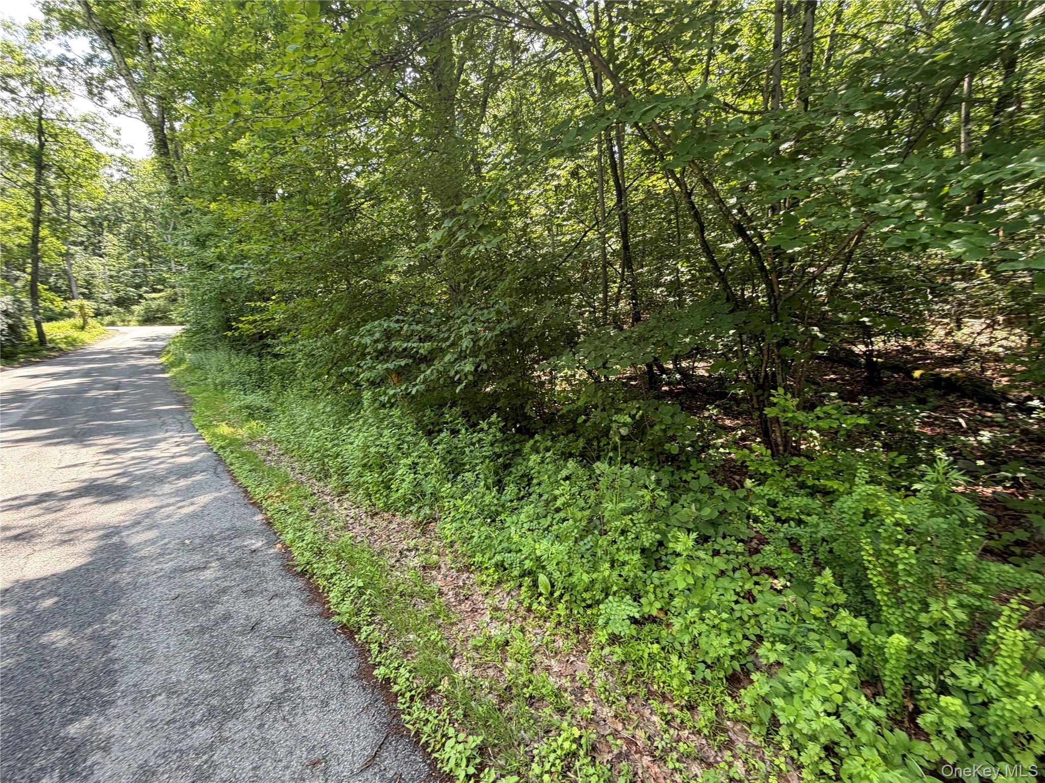 599 East Mountain Road North Cold Spring, NY 10516 - Photo 8 of 11