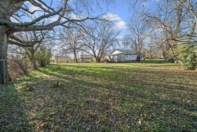 a big yard with lots of green space and plants