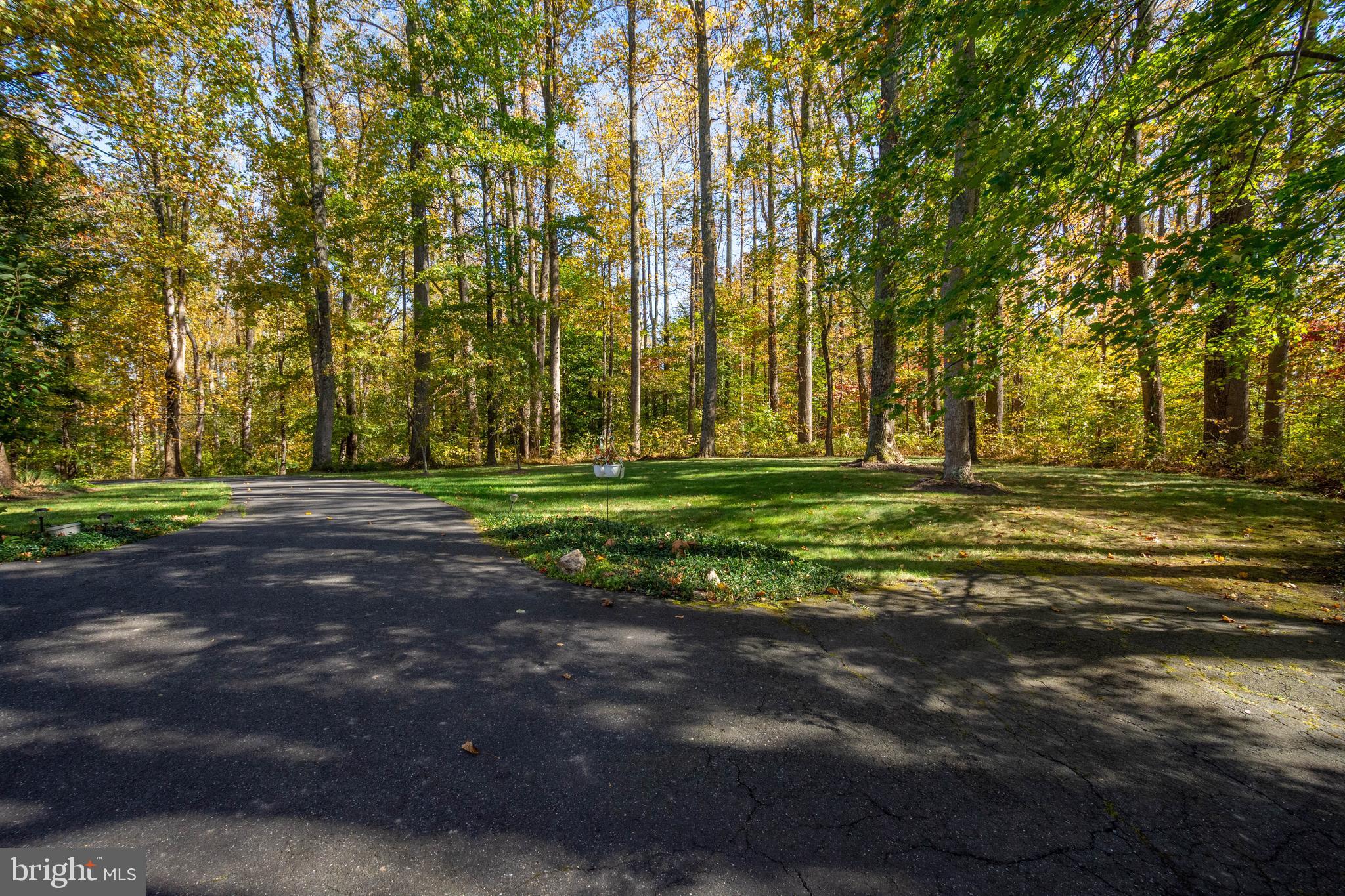 5534 Nutwell Sudley Road Deale, MD 20751 - Photo 46 of 51 a view of a field with trees