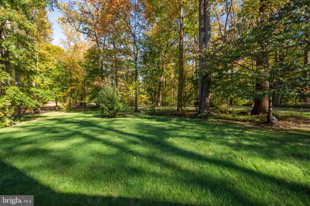 a view of outdoor space with trees all around