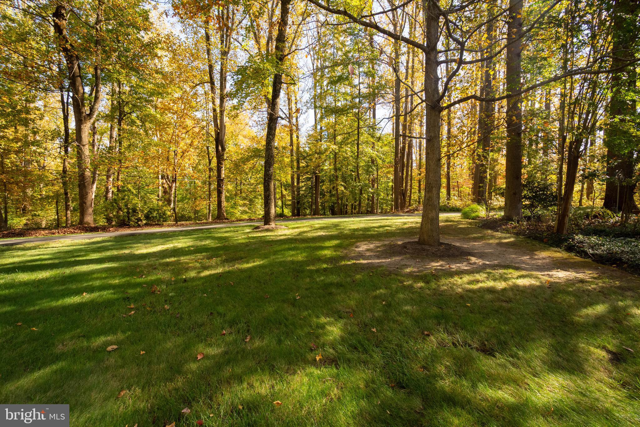 5534 Nutwell Sudley Road Deale, MD 20751 - Photo 48 of 51 a view of outdoor space with trees all around