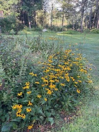 $625,000 | 15 Bills Road, Stratton, VT 05360