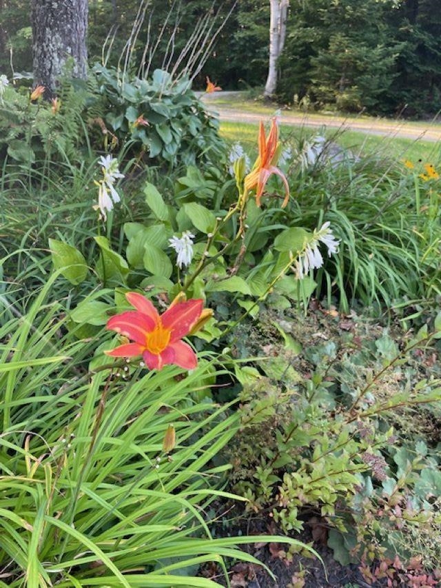 15 Bills Road Stratton, VT 05360 - Photo 12 of 43