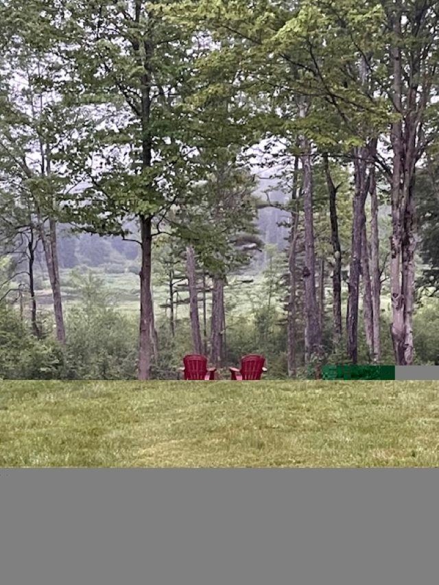 15 Bills Road Stratton, VT 05360 - Photo 13 of 43