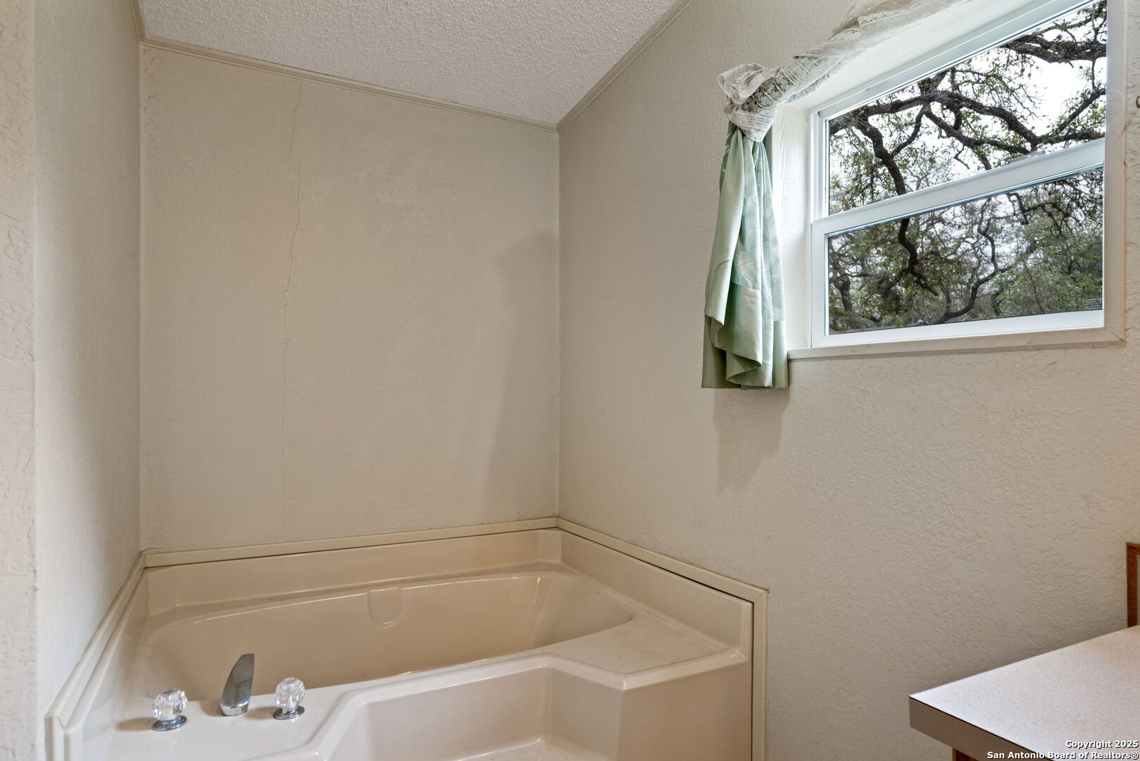 3217 Bruce Road Poteet, TX 78065 - Photo 15 of 49