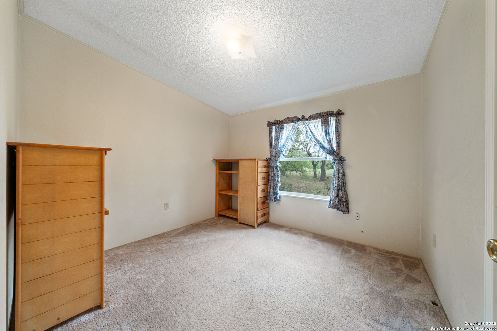 3217 Bruce Road Poteet, TX 78065 - Photo 21 of 49