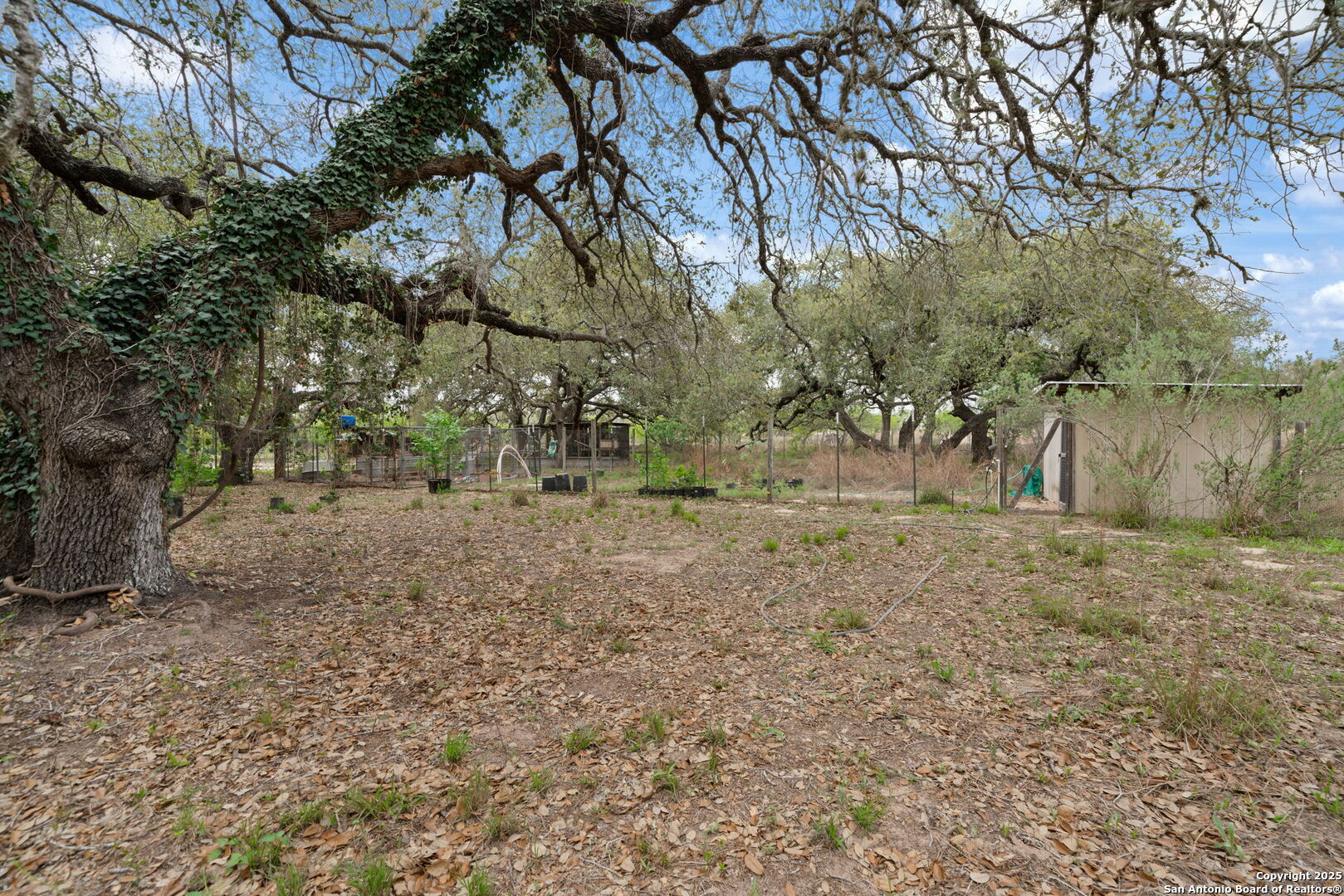 3217 Bruce Road Poteet, TX 78065 - Photo 25 of 49