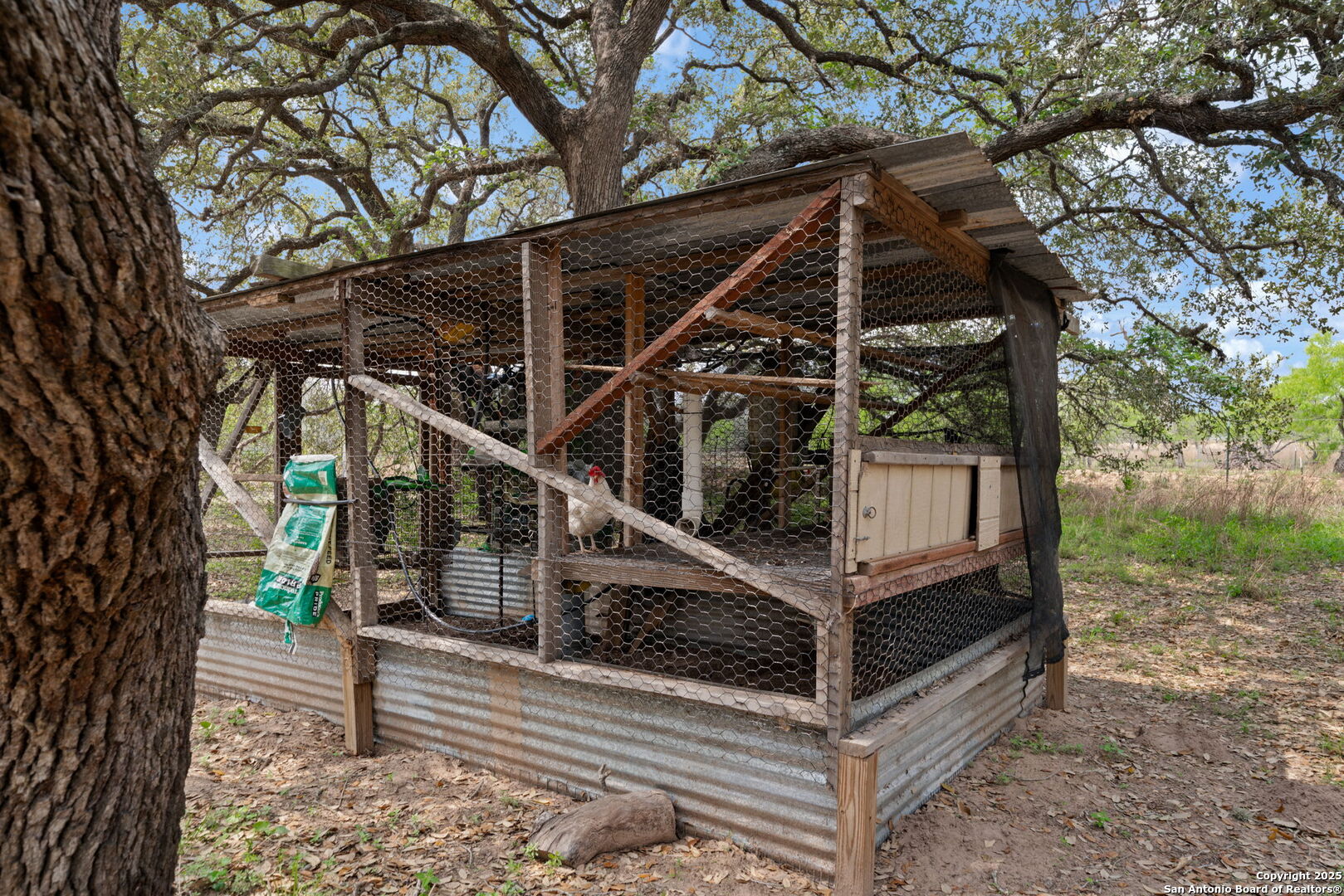 3217 Bruce Road Poteet, TX 78065 - Photo 28 of 49