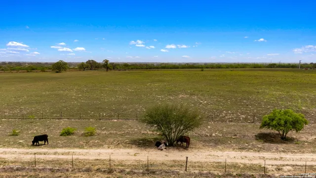 $425,000 | 3217 Bruce Road, Poteet, TX 78065