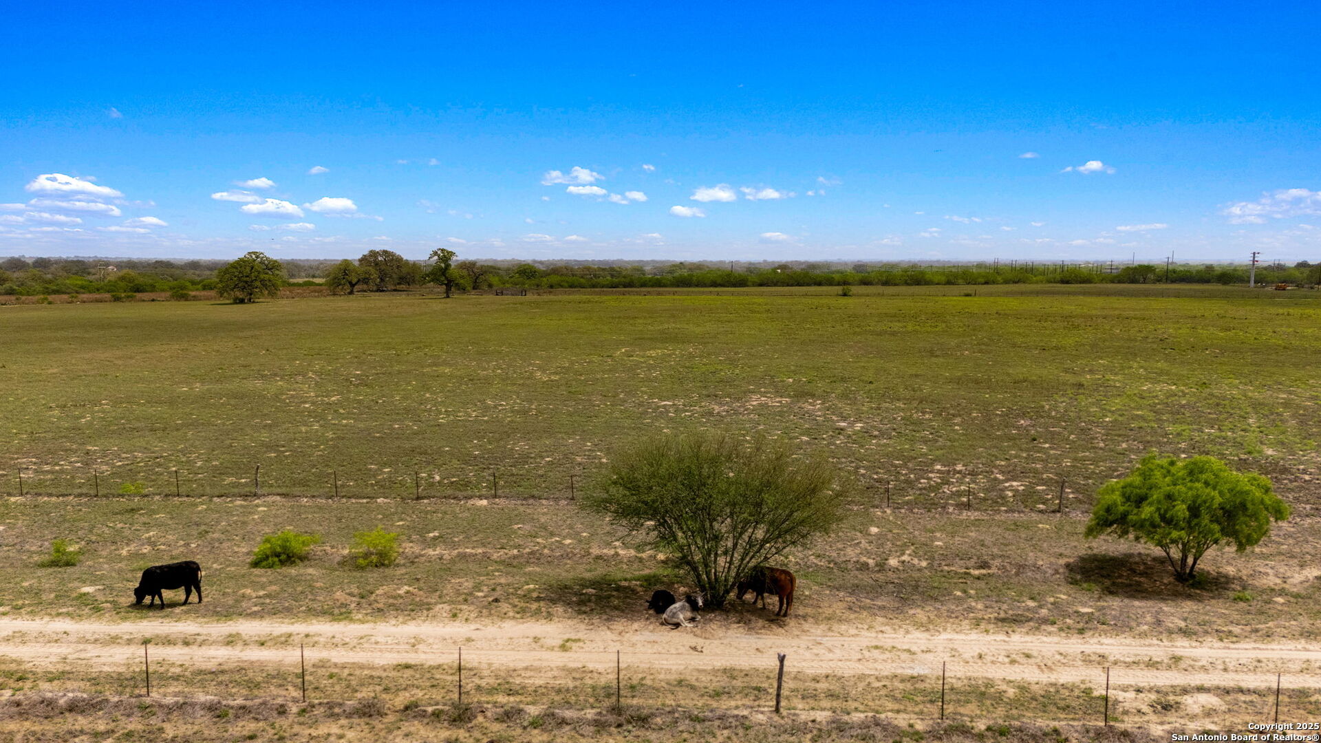 3217 Bruce Road Poteet, TX 78065 - Photo 46 of 49