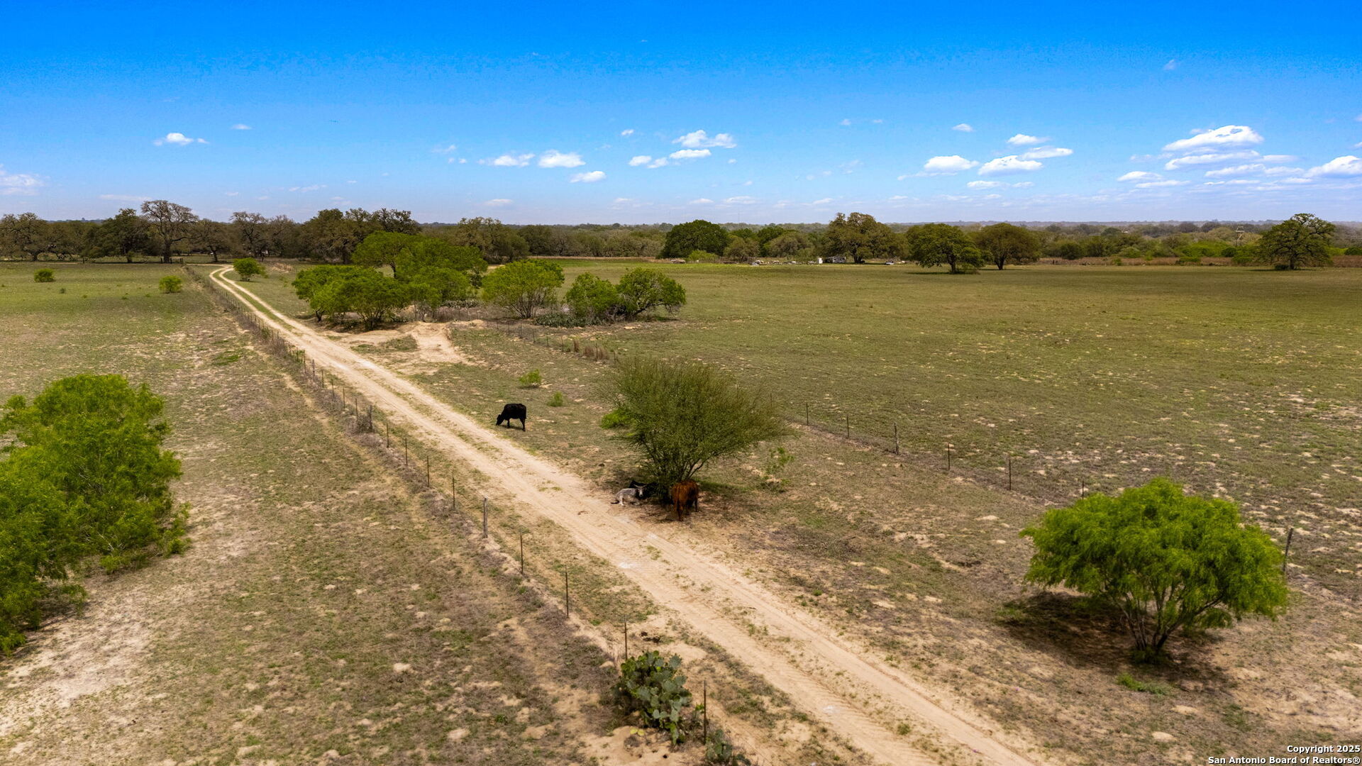 3217 Bruce Road Poteet, TX 78065 - Photo 47 of 49