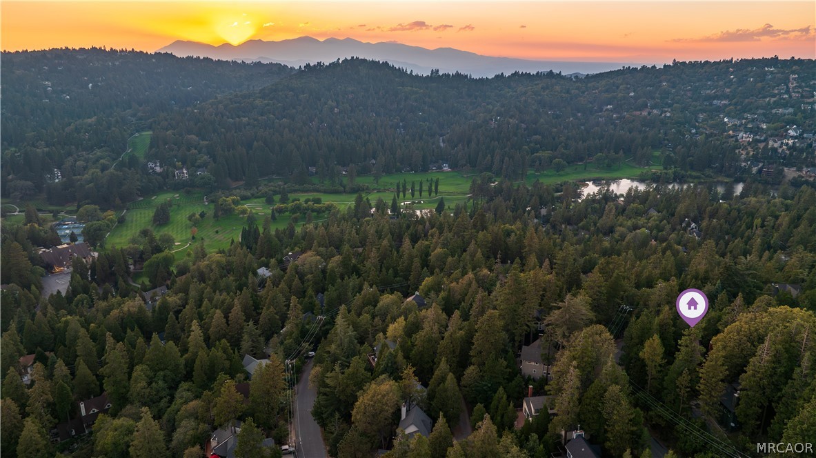 399 Rainier Road Lake Arrowhead, CA 92352 - Photo 47 of 48