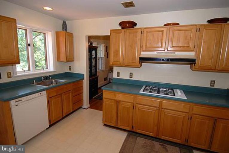 1118 Kathryn Road Silver Spring, MD 20904 - Photo 19 of 30 Kitchen