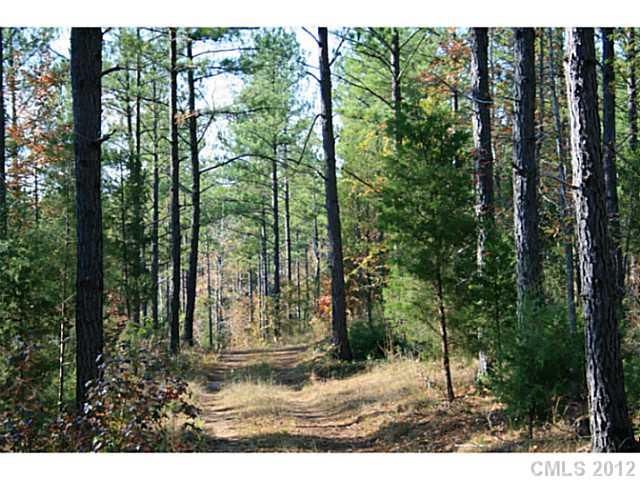 12.5 A Parson Road McConnells, SC 29726 - Photo 14 of 16