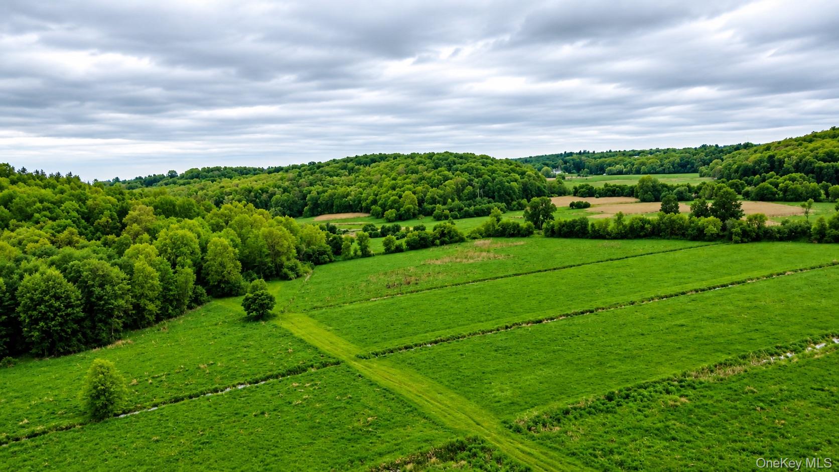 492 Black Meadow Road Chester, NY 10918 - Photo 7 of 18 a view of a field with plants and large trees