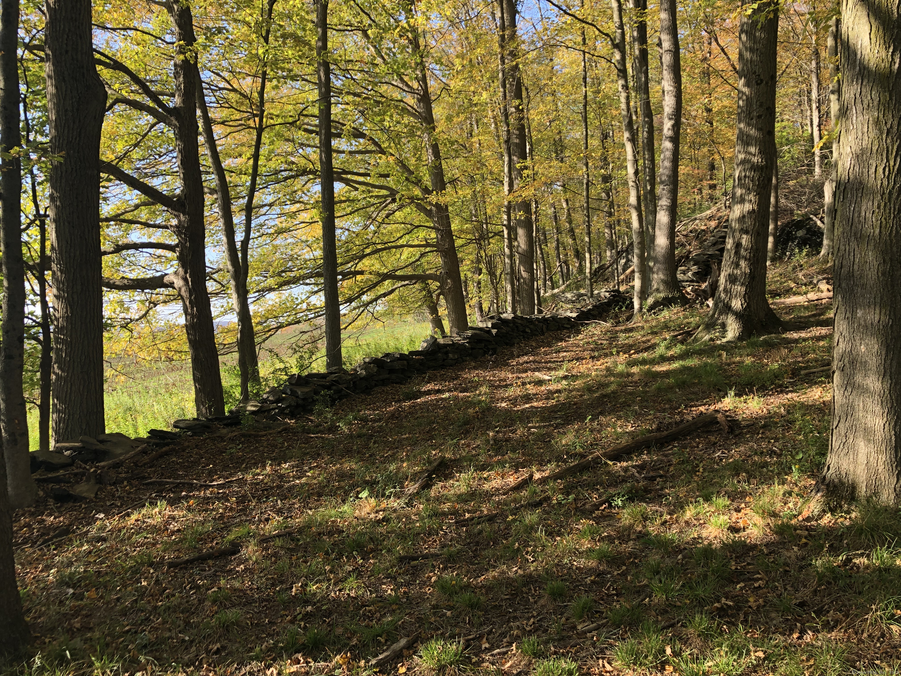 Ore Hill Road Lakeville, CT 06039 - Photo 13 of 14