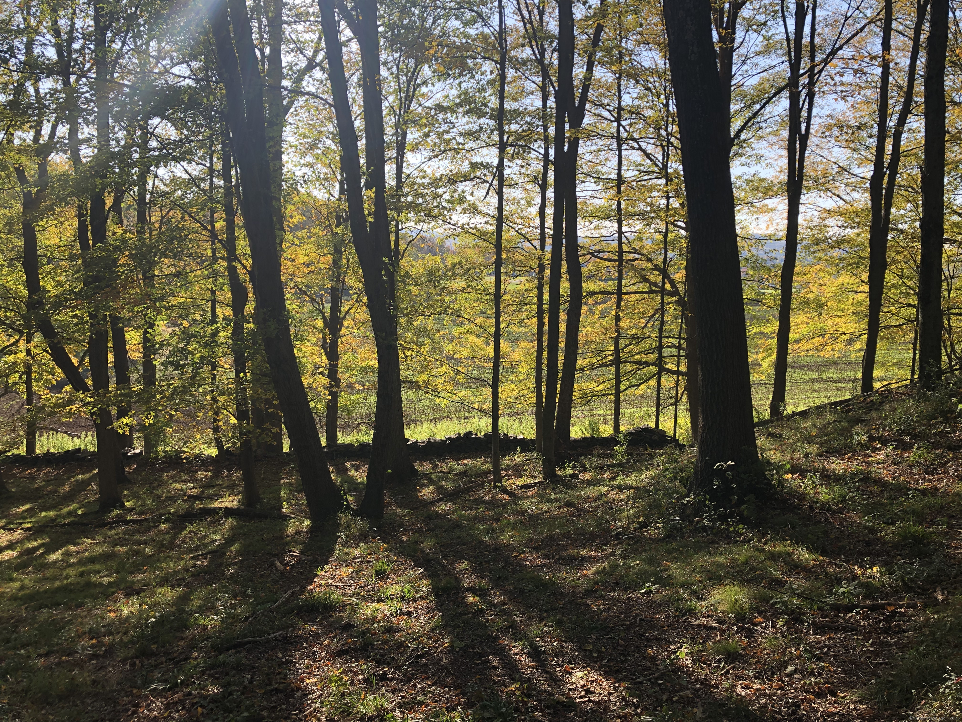 Ore Hill Road Lakeville, CT 06039 - Photo 10 of 14