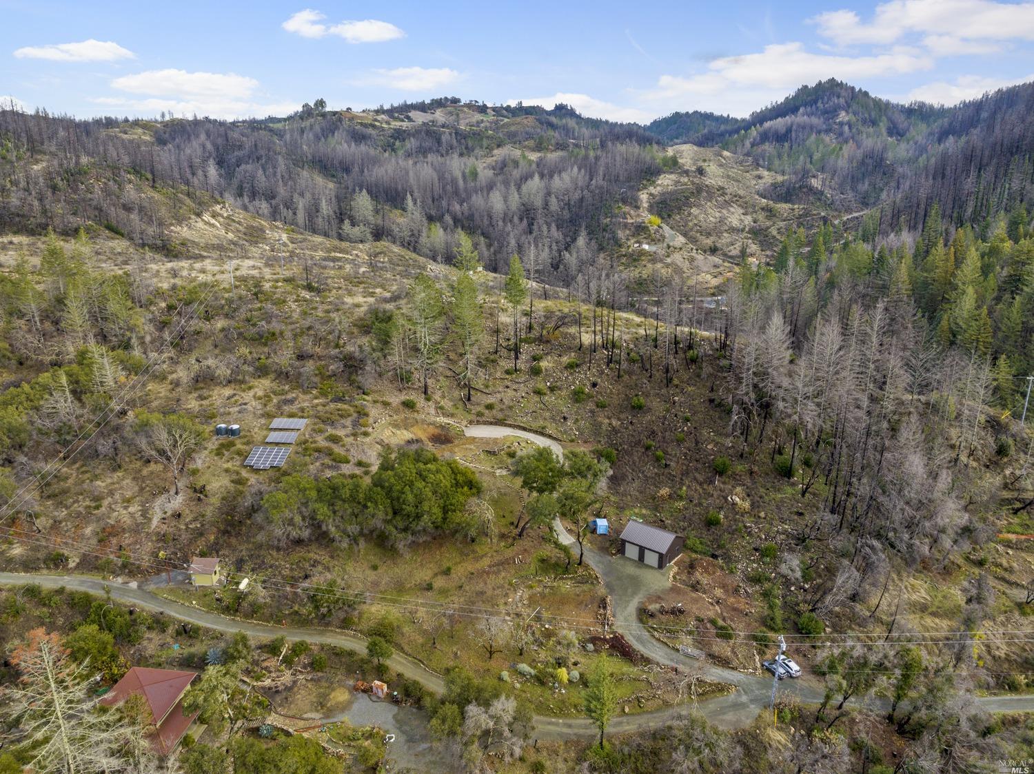 7915 St Helena Road Santa Rosa, CA 95404 - Photo 1 of 1 a view of a forest with mountains in the background
