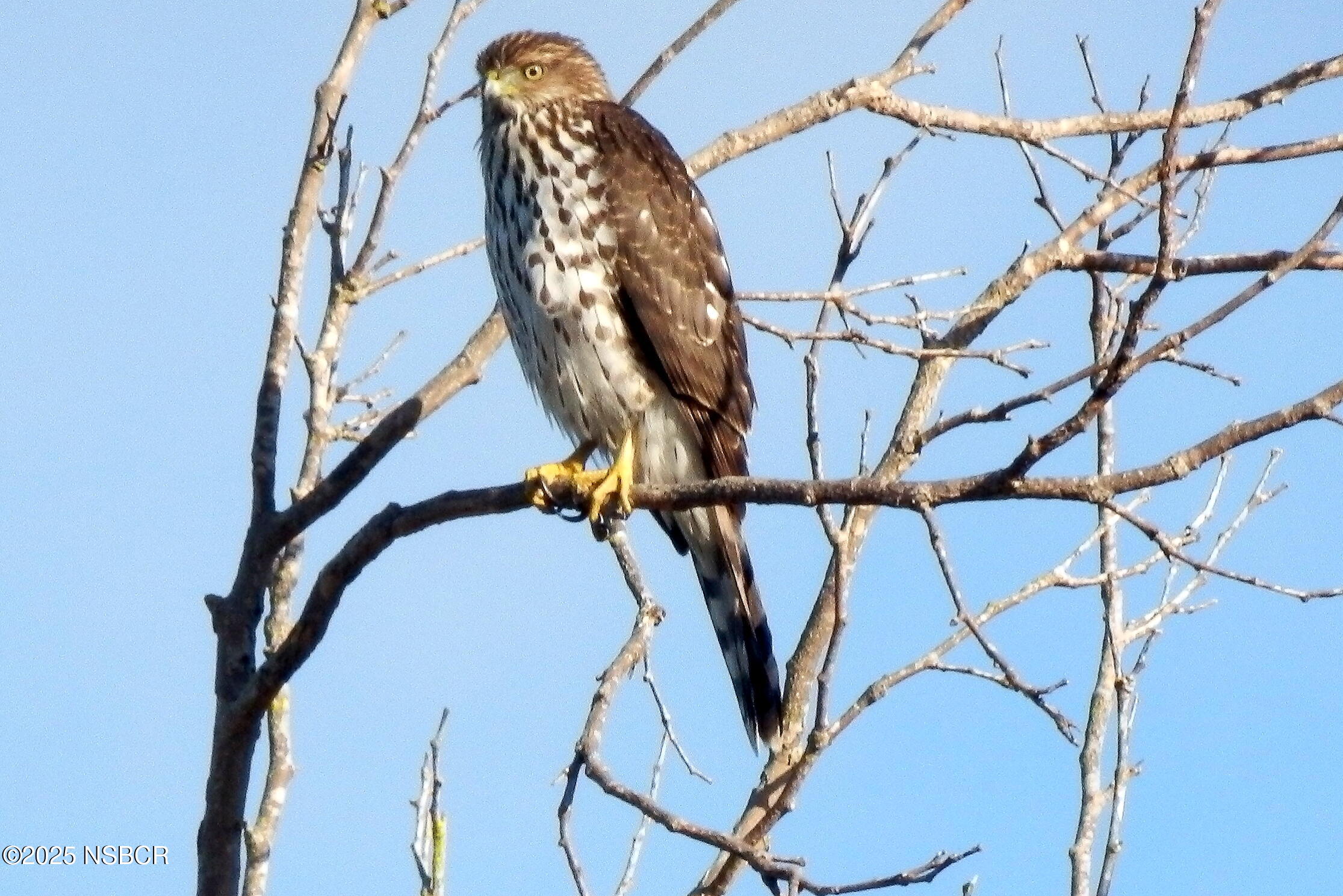 4314 West Ocean Avenue Lompoc, CA 93436 - Photo 44 of 58 a view of staircase with railing and white walls