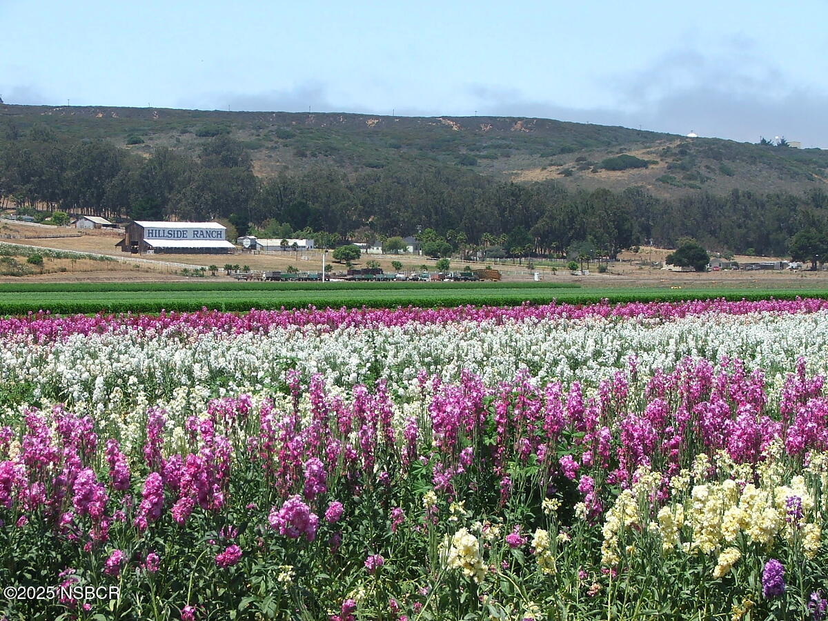4314 West Ocean Avenue Lompoc, CA 93436 - Photo 56 of 58 ranch101
