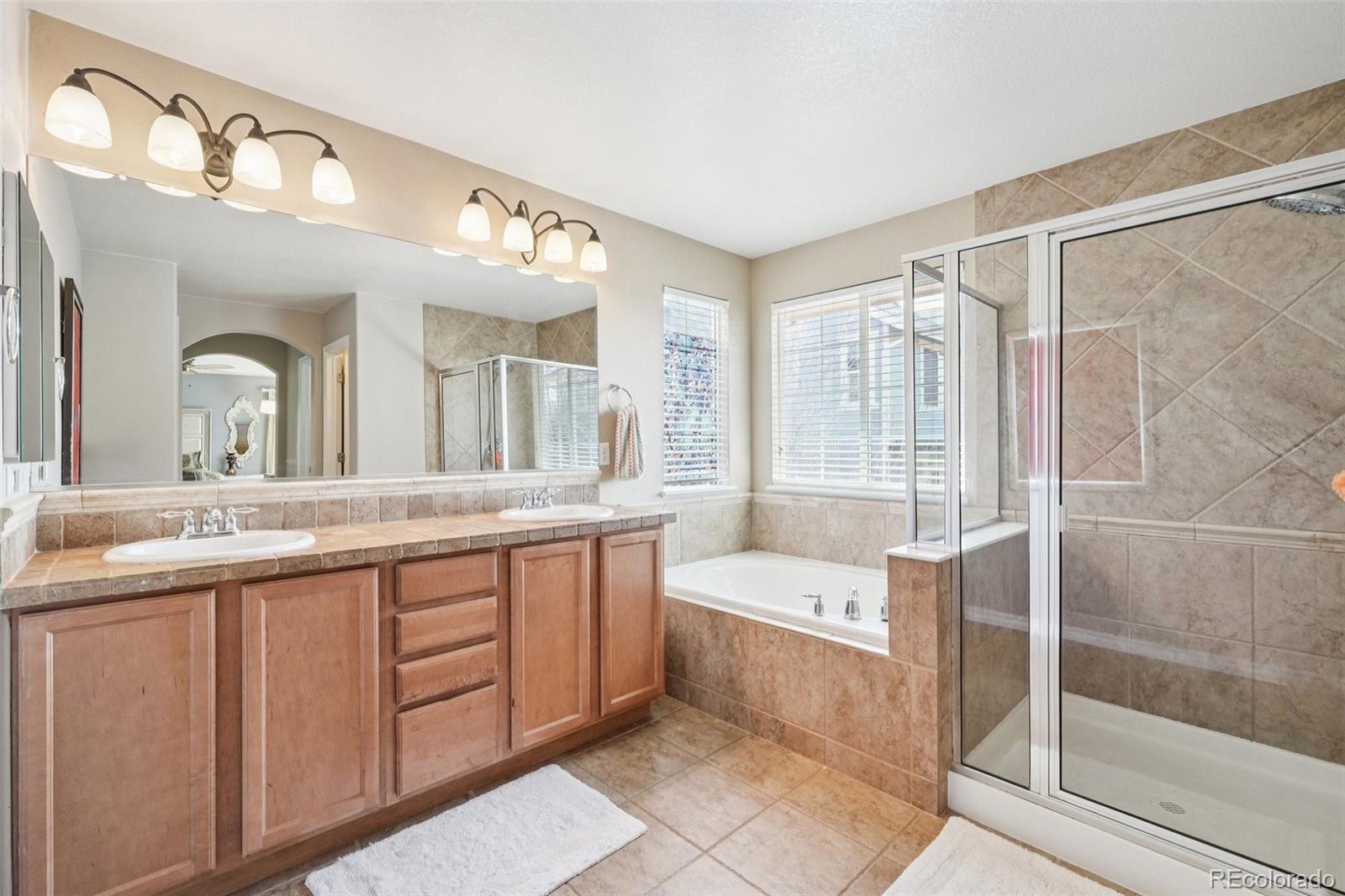 10916 Towerbridge Road Highlands Ranch, CO 80130 - Photo 19 of 46 Gallery Image 19