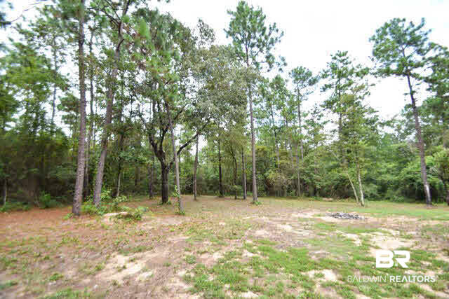 9703 Whitehouse Fork Road Bay Minette, AL 36507 - Photo 22 of 24