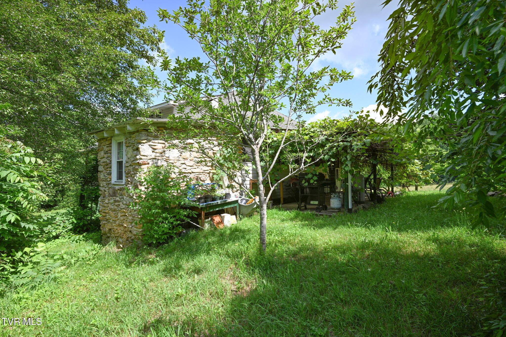 120 Teaberry Road Roan Mountain, TN 37687 - Photo 36 of 56 35-web-or-mls-EXT_3951