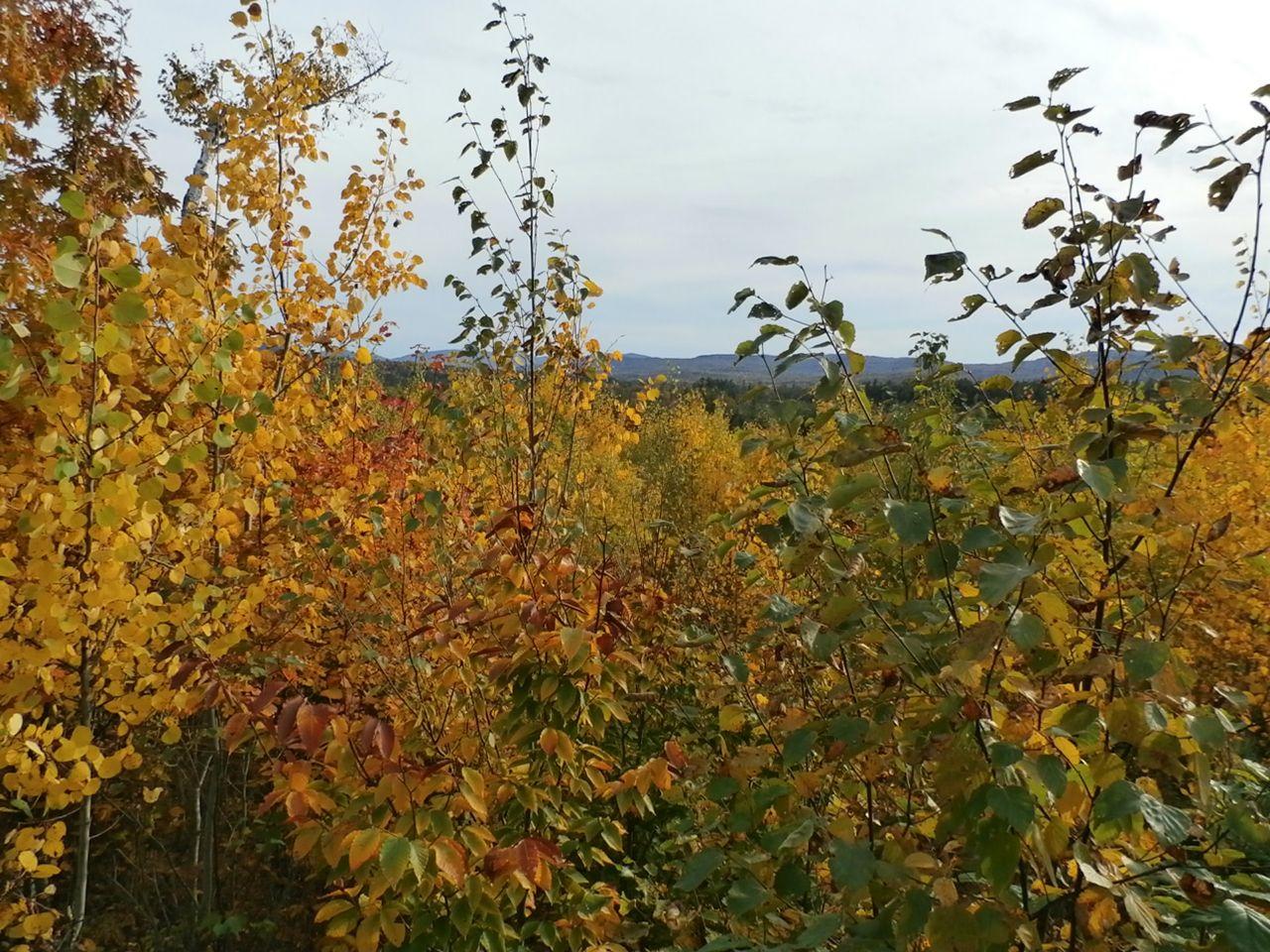 2 West Side Road Dixfield, ME 04224 - Photo 3 of 13 PA080319