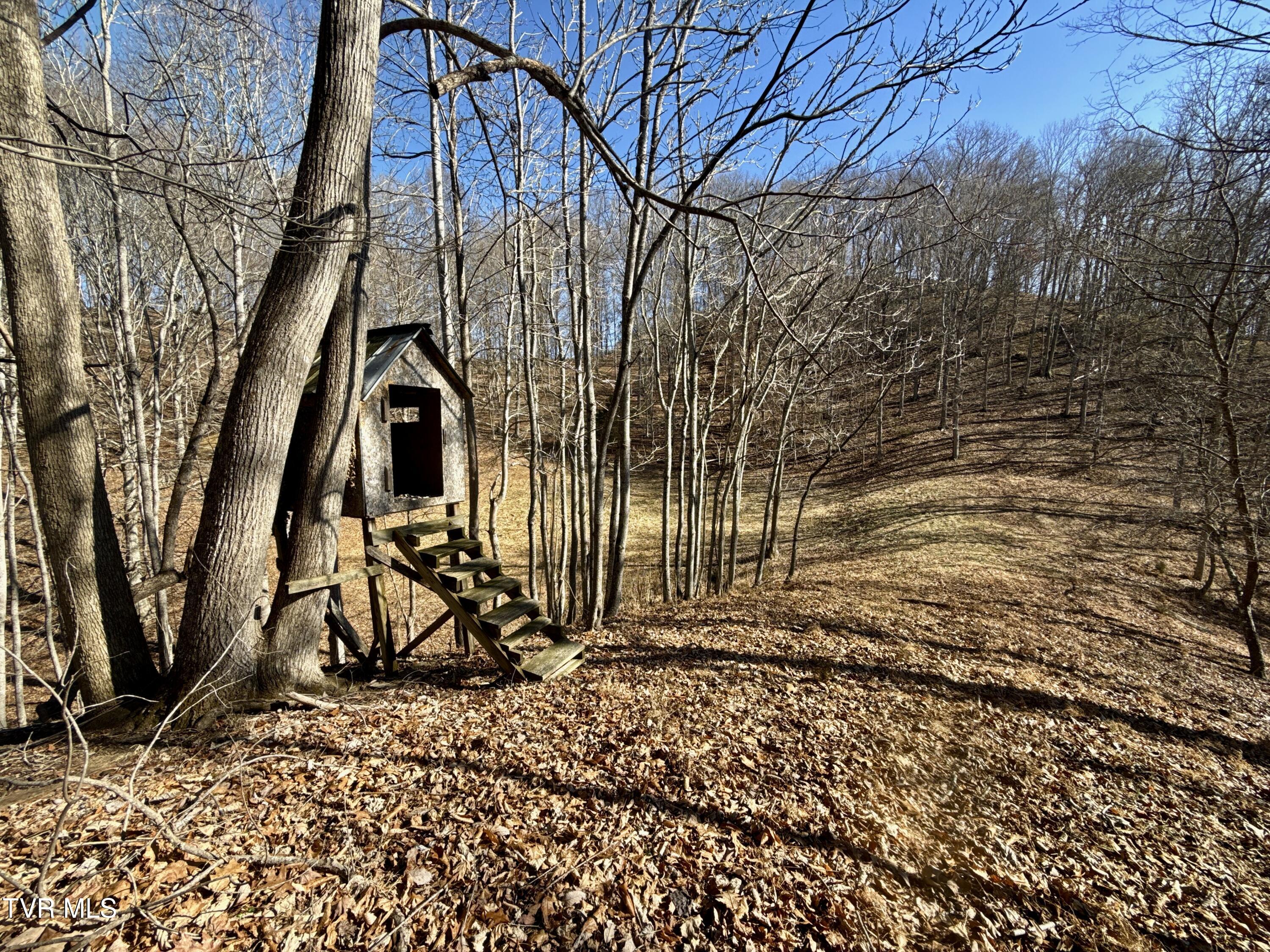 219 Ridge Road Eidson, TN 37731 - Photo 63 of 72 _Pic53 (12)