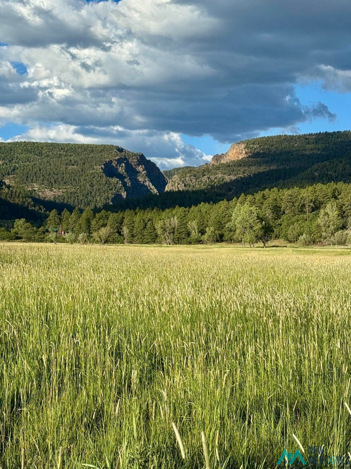 0 Pd 1788 Road Chama, NM 87520 - Photo 4 of 17 Gallery Image 4