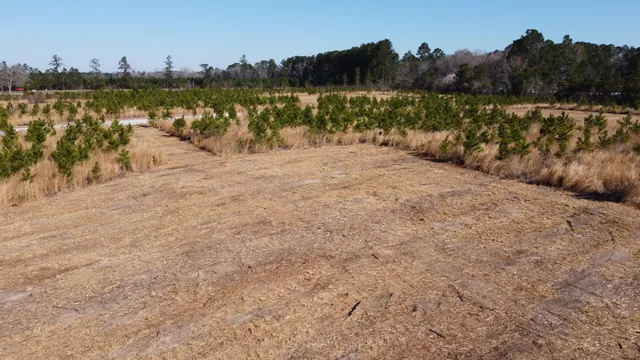 $159,600 | 8 Hwy 6 Cross Sc 29436, Cross, SC 29436