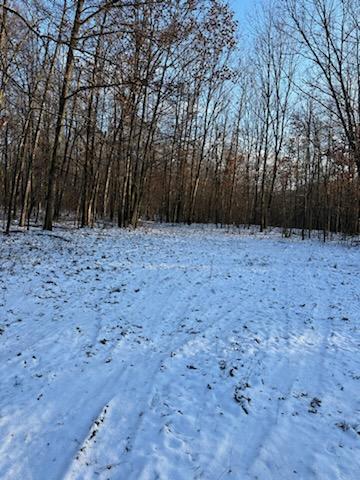 West Chicago Road Allen, MI 49227 - Photo 1 of 1 W. Chicago Rd.