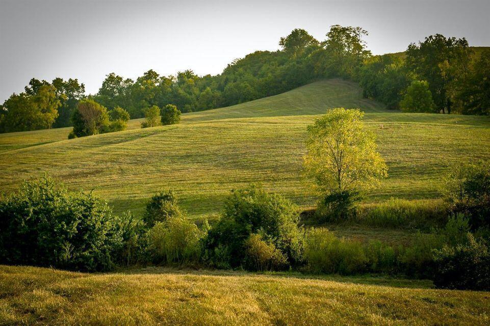0 Deer Chase Road, Unit TRACT 16 Danville, KY 40422 - Photo 5 of 6 20211001193250143507000000-o