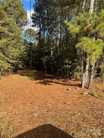 a view of yard covered with snow