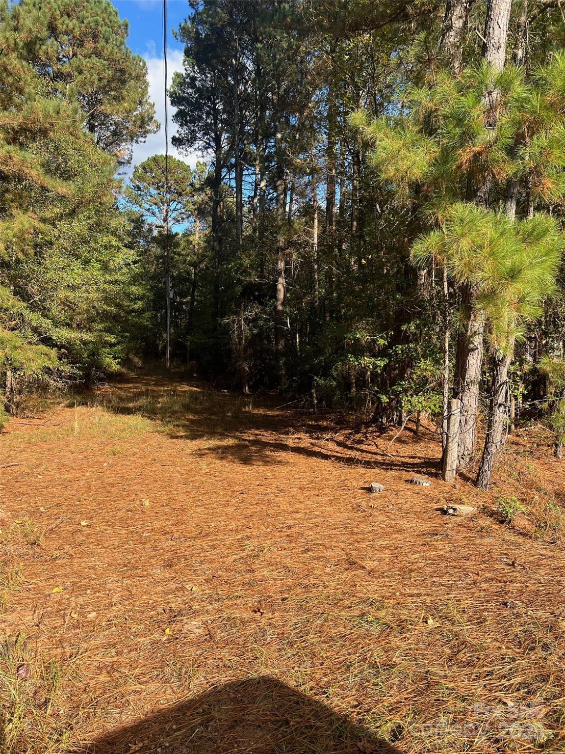 a view of yard covered with snow