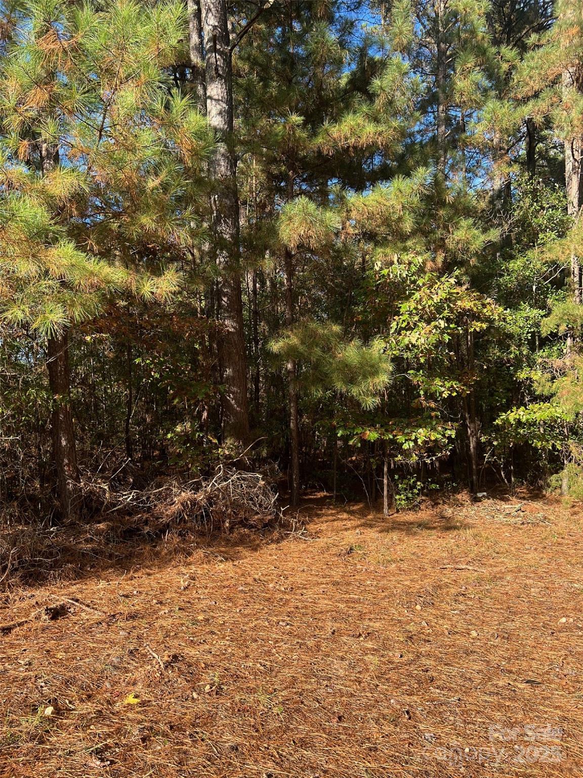 0 Horton Road Wadesboro, NC 28170 - Photo 2 of 4 a view of outdoor space and trees