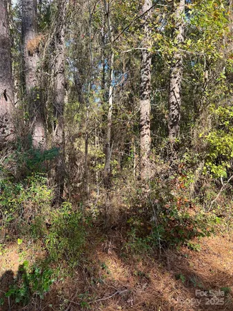 a view of a yard with a tree