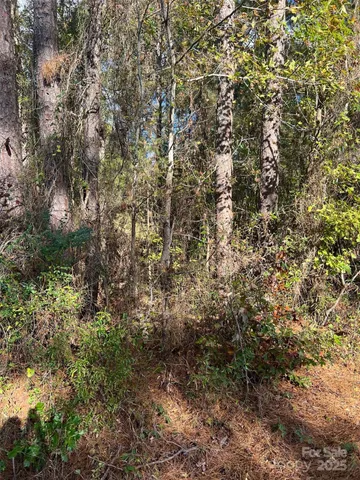 a view of a yard with a tree