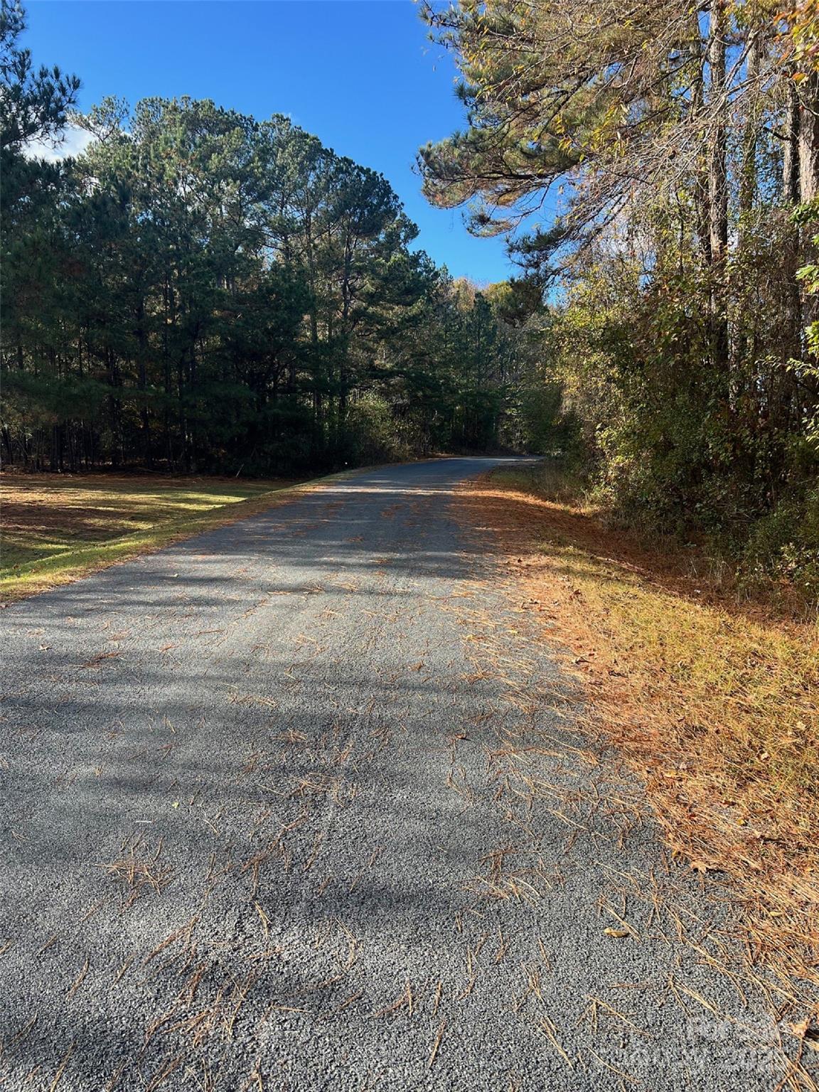 0 Horton Road Wadesboro, NC 28170 - Photo 4 of 4 a view of a yard
