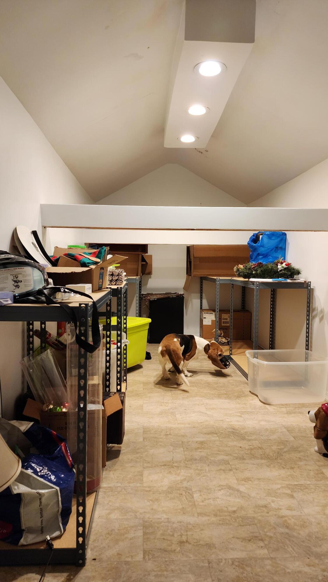 141 Forrest View Lane Mohawk, TN 37810 - Photo 17 of 58 Secret room