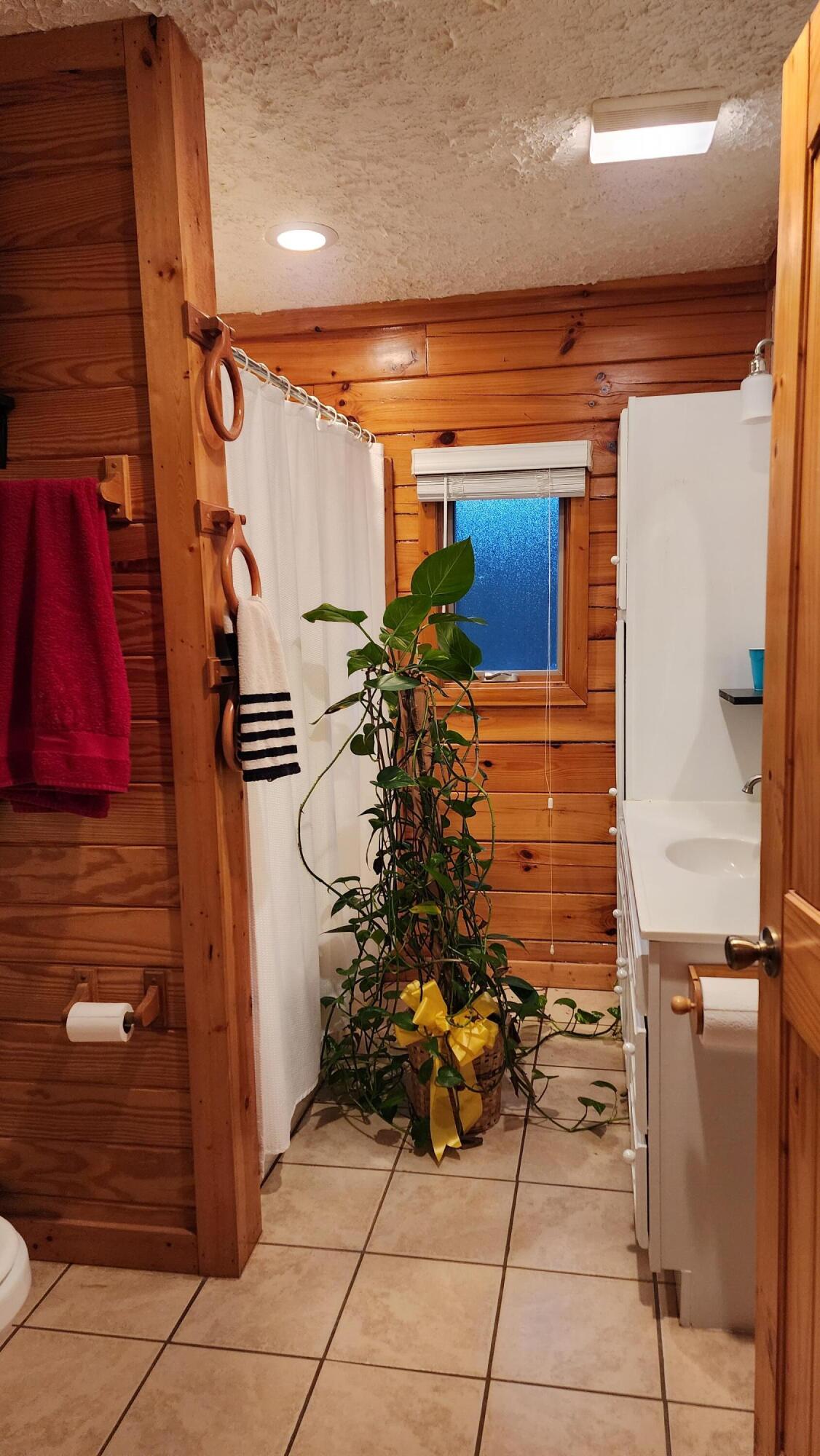 141 Forrest View Lane Mohawk, TN 37810 - Photo 31 of 58 20230126_174430