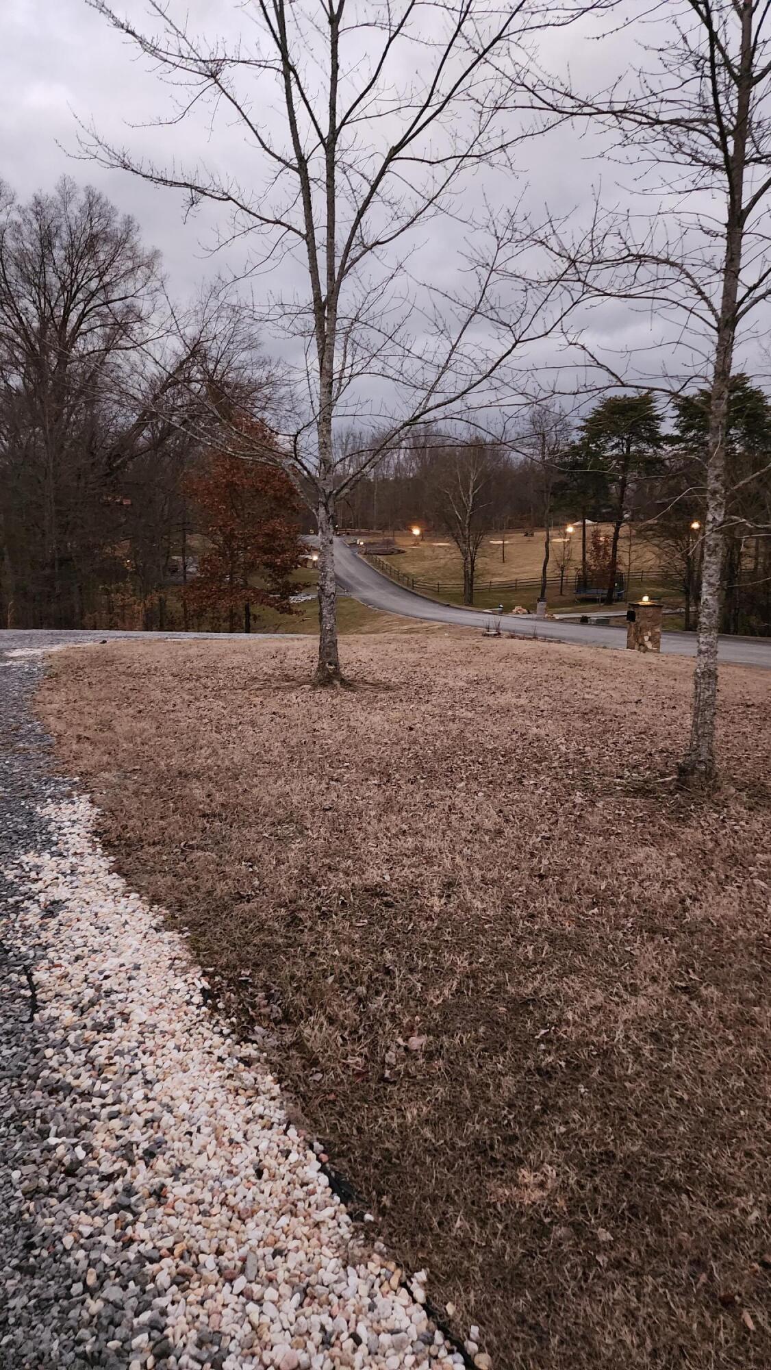 141 Forrest View Lane Mohawk, TN 37810 - Photo 37 of 58 20230126_180847