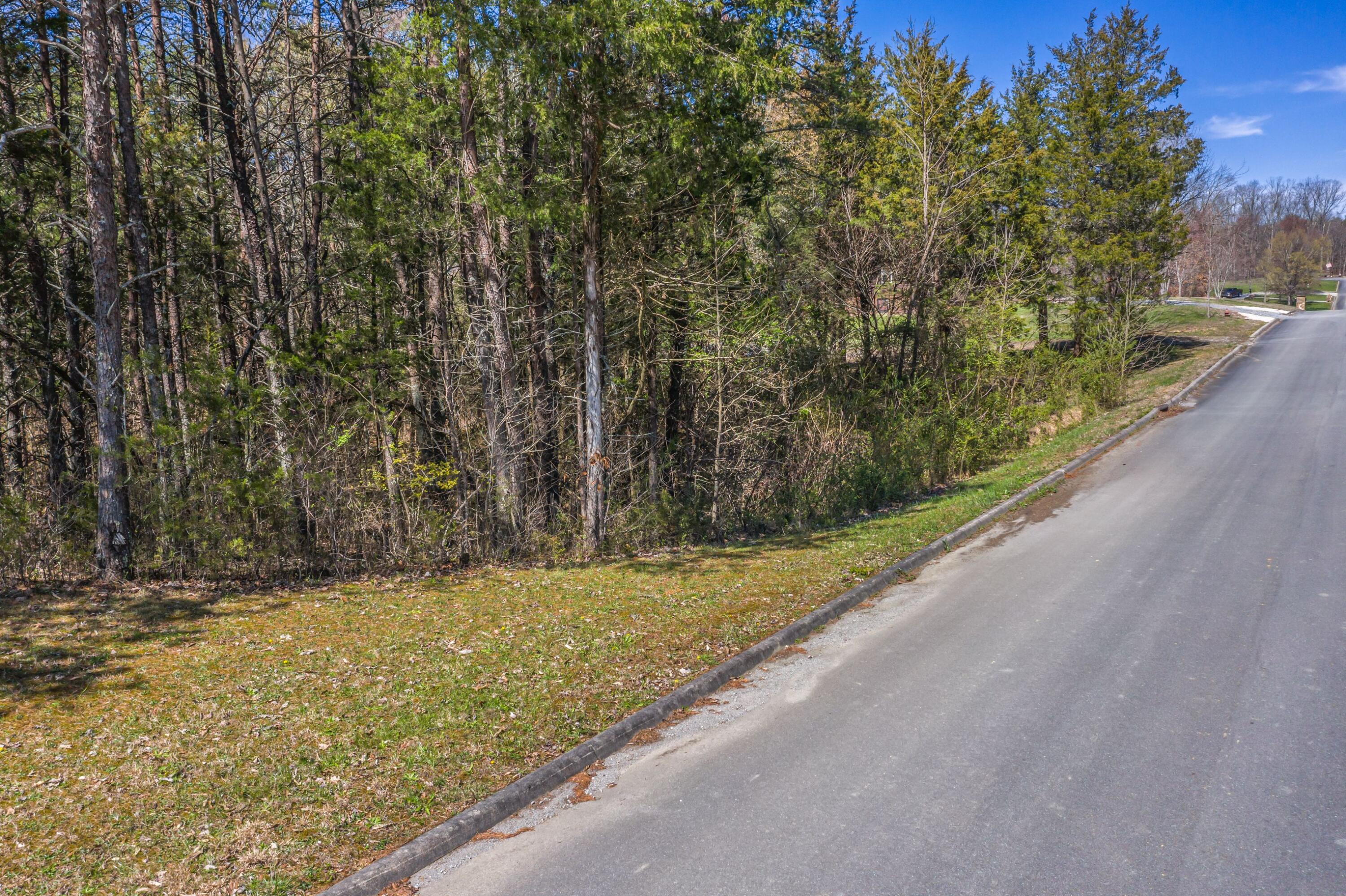 141 Forrest View Lane Mohawk, TN 37810 - Photo 47 of 58 Exterior-18-FULL (1)