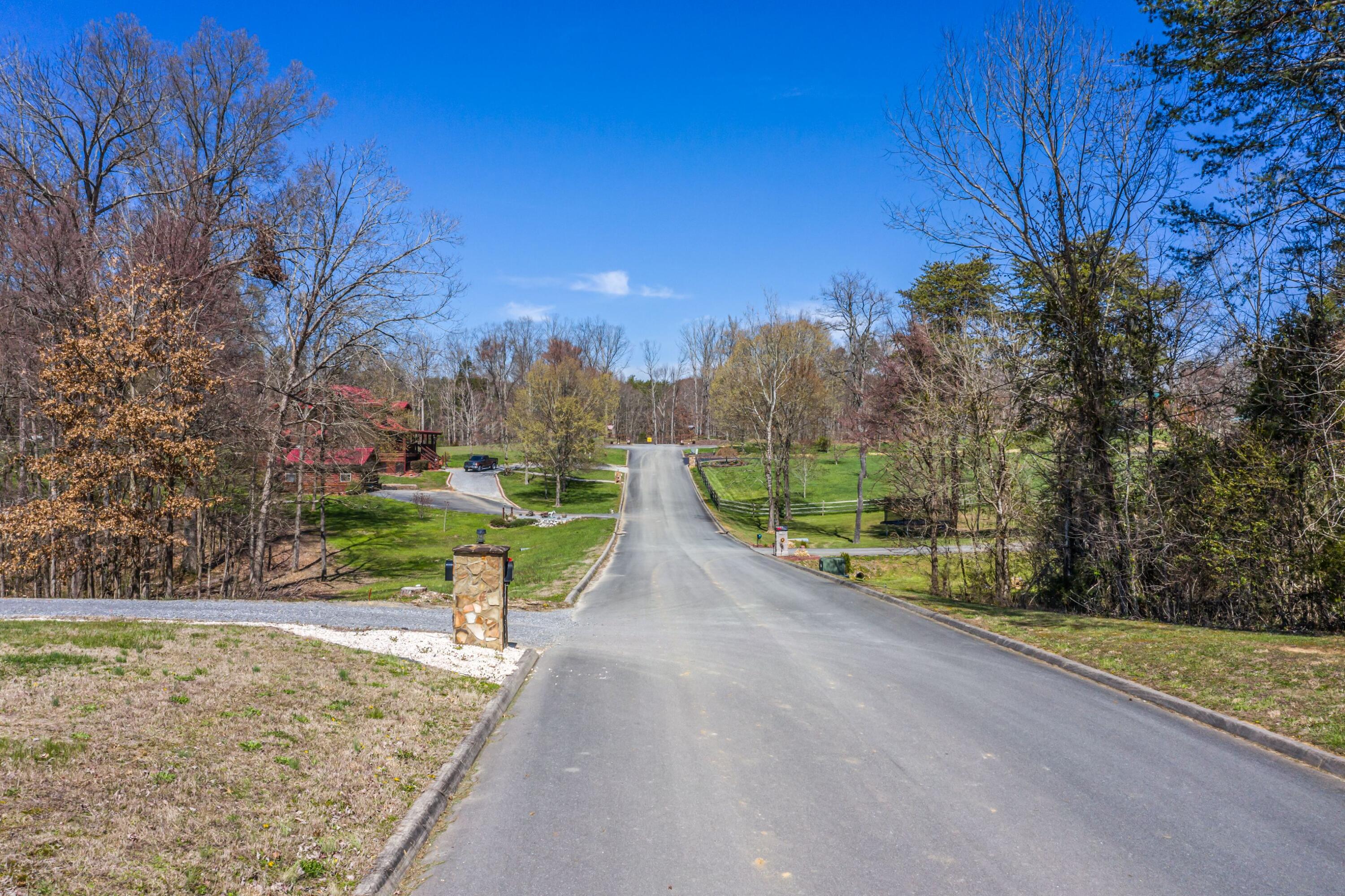 141 Forrest View Lane Mohawk, TN 37810 - Photo 48 of 58 Beautiful neighborhood