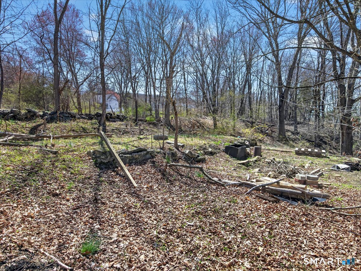 91 Jewett Street Ansonia, CT 06401 - Photo 20 of 30 Backyard