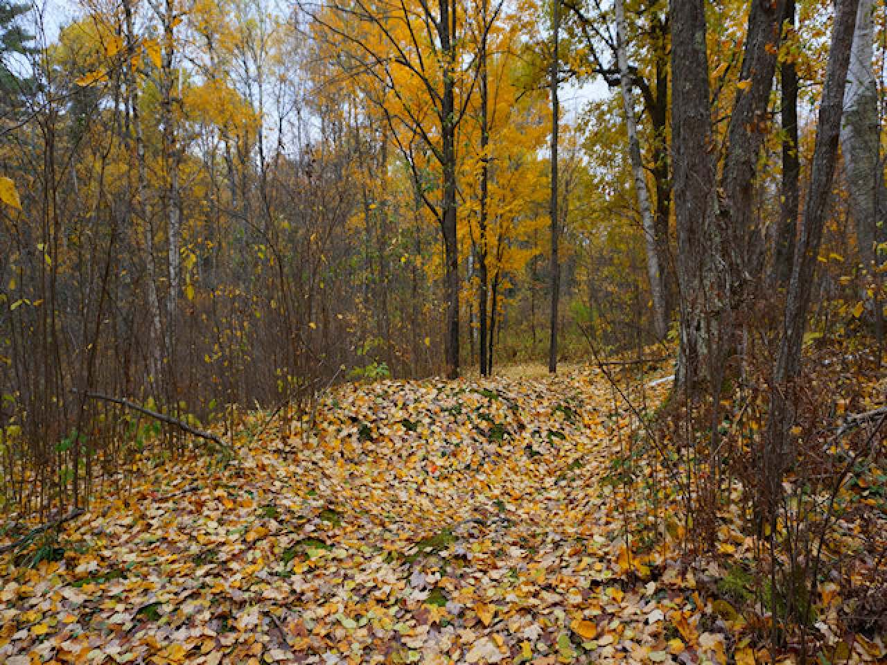 4965 Goodnow Road Harshaw, WI 54529 - Photo 10 of 12 Gallery Image 10