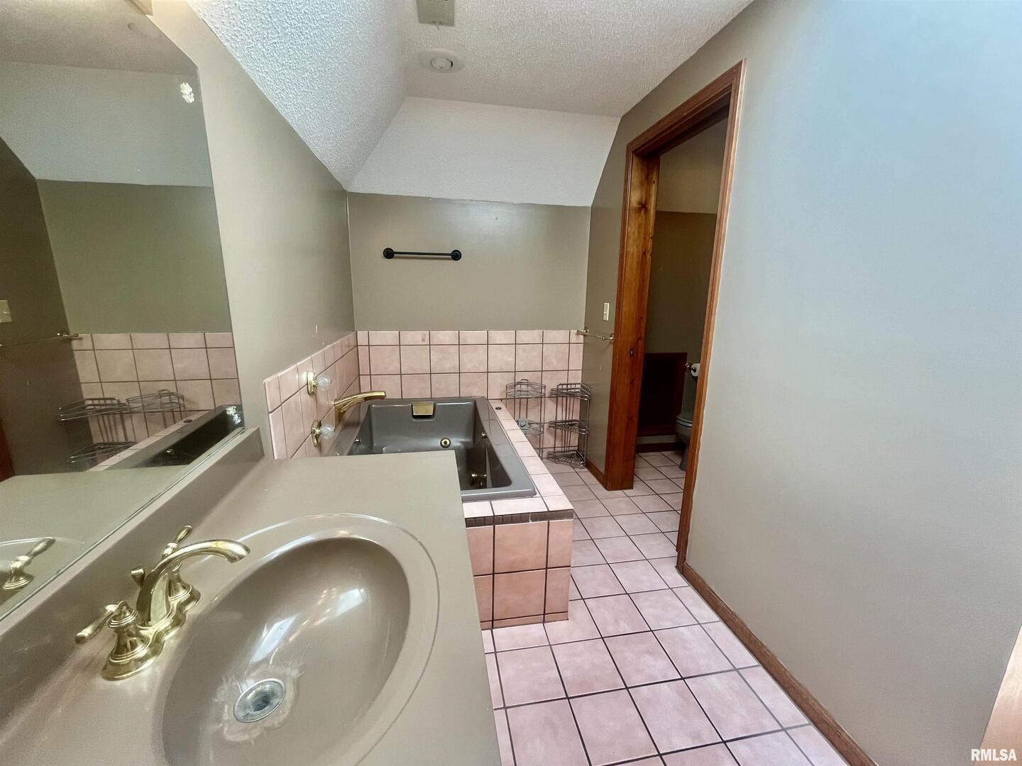 9 Brian Drive Metropolis, IL 62960 - Photo 40 of 71 a bathroom with a sink and a mirror