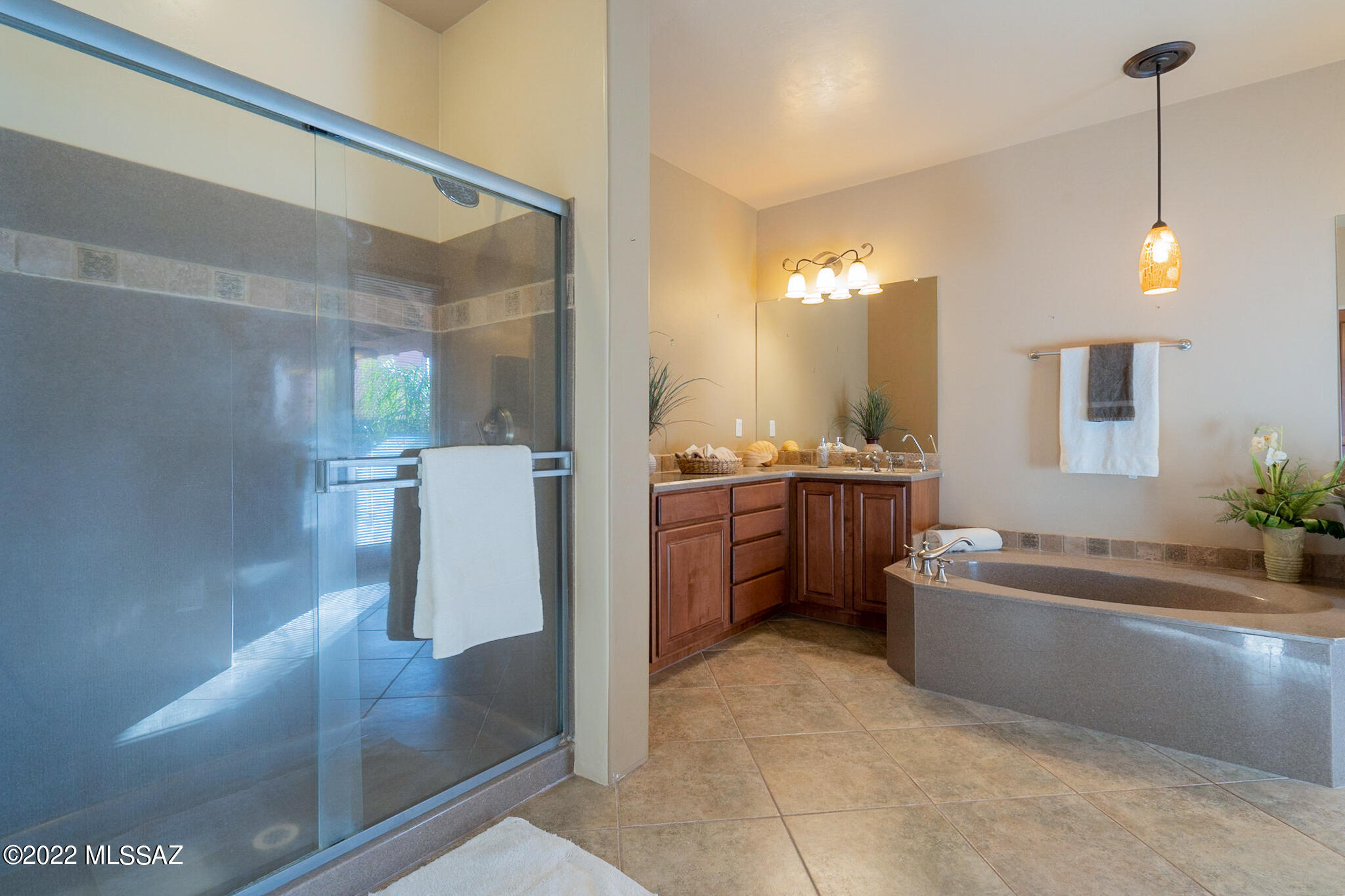 175 East Castlefield Circle Tucson, AZ 85704 - Photo 32 of 48