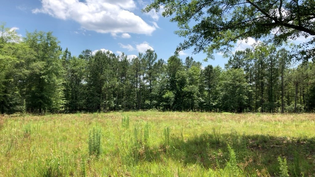 6.33-acres Implement Road Aiken, SC 29803 - Photo 16 of 18