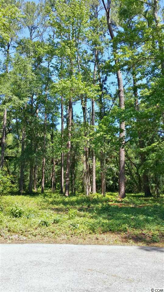 0 Tucker Road Pawleys Island, SC 29585 - Photo 1 of 25 Gallery Image 1